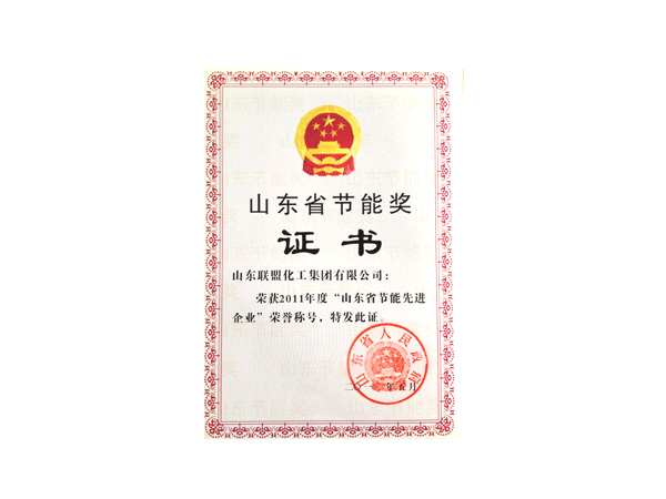 山西省節能獎證書